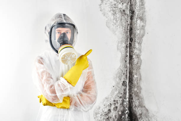 Best Mold Prevention Services  in Belleair, FL