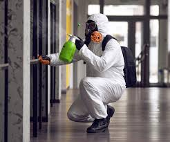 Best Mold Odor Removal Services  in Belleair, FL